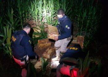 Em menos de 12 horas, PRF apreende 4,2 toneladas de maconha no Paraná