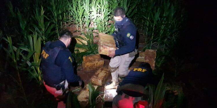 Em menos de 12 horas, PRF apreende 4,2 toneladas de maconha no Paraná