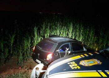 PRF apreende veículo com quase 50kg de maconha em milharal