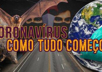 Na transmissão de vírus, um morcego não é mais perigoso que uma galinha, diz biólogo