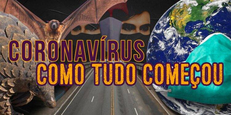 Na transmissão de vírus, um morcego não é mais perigoso que uma galinha, diz biólogo