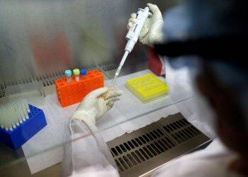 Equipe da Fiocruz MG trabalha em vacina brasileira para covid-19