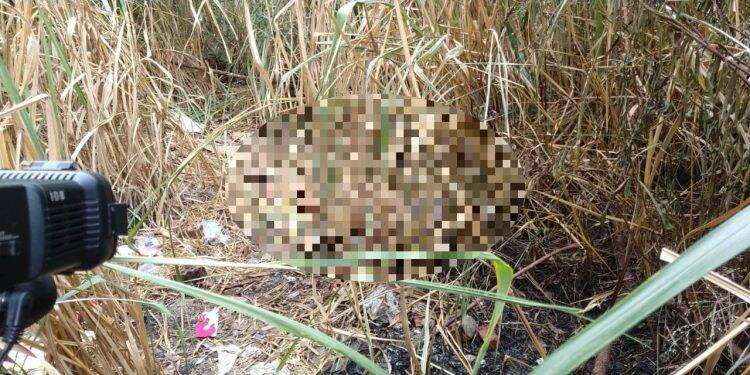 Disputa por ponto de prostituição pode ter causado morte de paraguaia