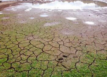 Governo decreta situação de emergência hídrica por causa da estiagem