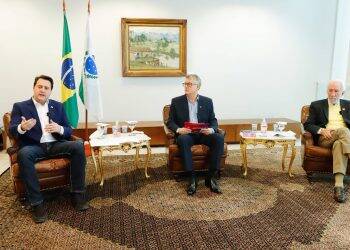 Paraná pode retomar normalidade das atividades econômicas em agosto