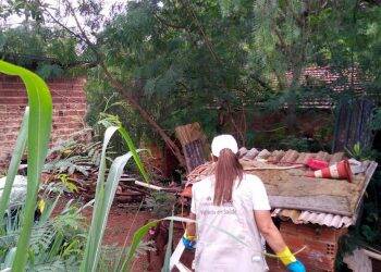 Epidemia de dengue atinge mais da metade das cidades do Estado