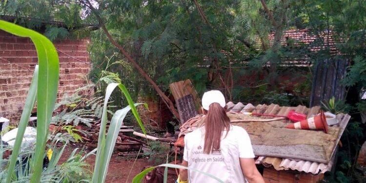 Epidemia de dengue atinge mais da metade das cidades do Estado