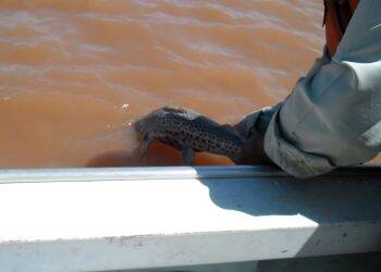 Governo do Estado proíbe pesca em rios durante crise hídrica