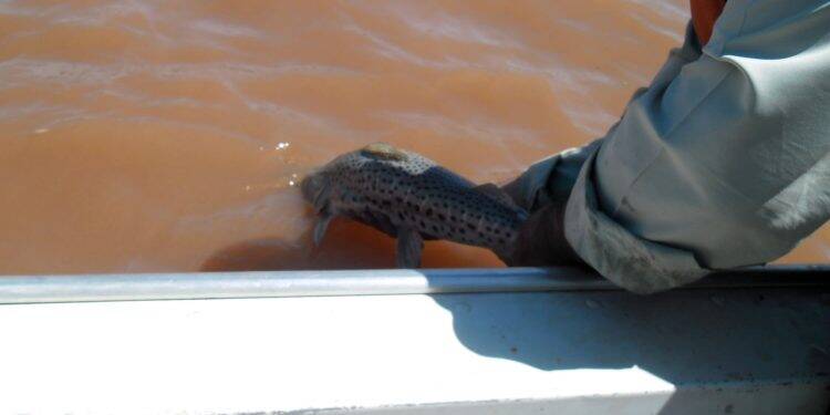 Governo do Estado proíbe pesca em rios durante crise hídrica