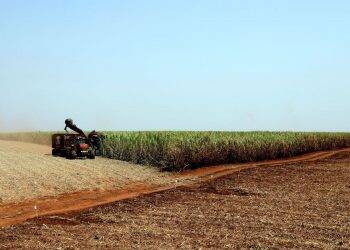 Preços mundiais de alimentos caem acentuadamente em abril