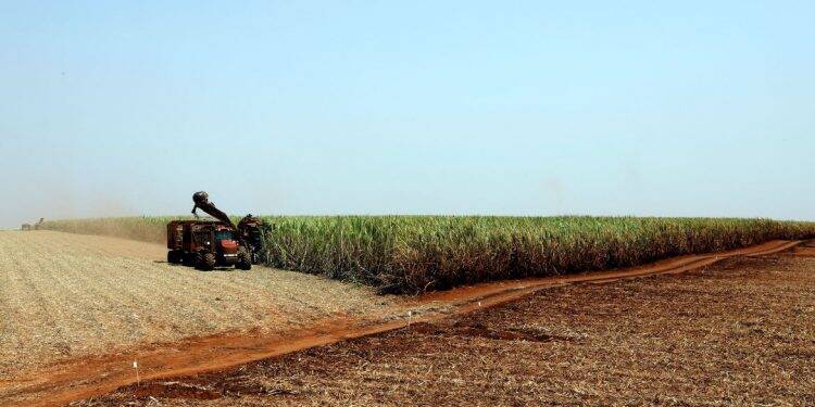 Preços mundiais de alimentos caem acentuadamente em abril