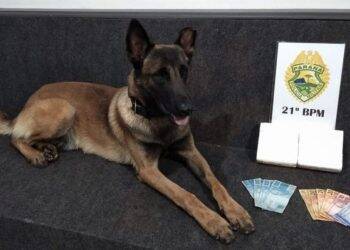 Policial Militar é presa após cachorro da corporação encontrar drogas com ela