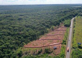 Itaipu inicia a restauração da última  área aberta do Refúgio Binacional Maracaju