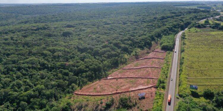 Itaipu inicia a restauração da última  área aberta do Refúgio Binacional Maracaju