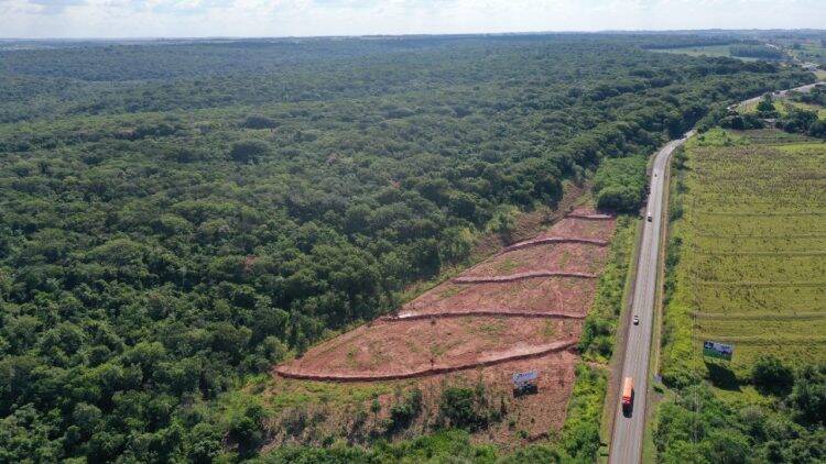 Itaipu inicia a restauração da última  área aberta do Refúgio Binacional Maracaju