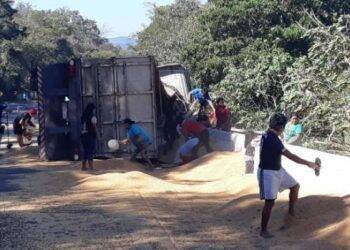 Carreta carregada com soja tomba na BR 277 e carga é saqueada