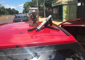 Polícia Federal faz operação contra o tráfico internacional de armas e drogas em Foz do Iguaçu