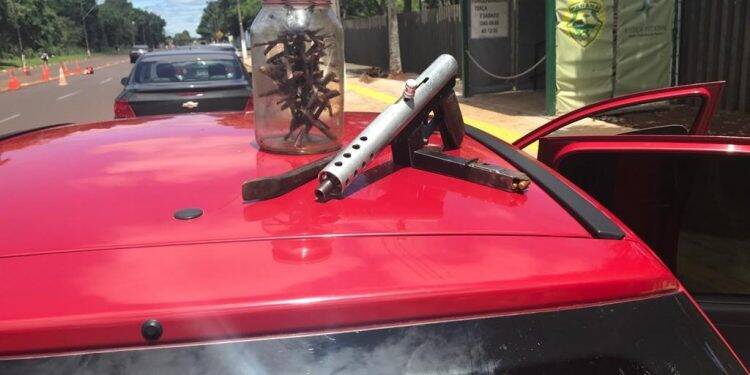 Polícia Federal faz operação contra o tráfico internacional de armas e drogas em Foz do Iguaçu