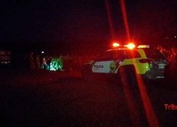 Corpo encontrado em plantação de milho não foi identificado