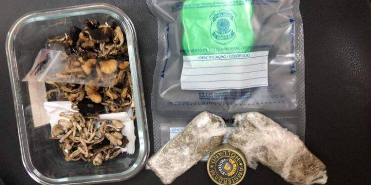Cogumelos alucinógenos enviados de Foz para bairros nobres de Vitória são apreendidos