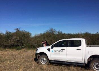 Argentina combate nuvem de gafanhotos com aviões e diminui quantidade da praga