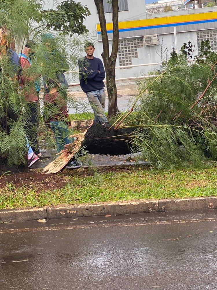 Temporal deixa 45% da cidade sem energia
