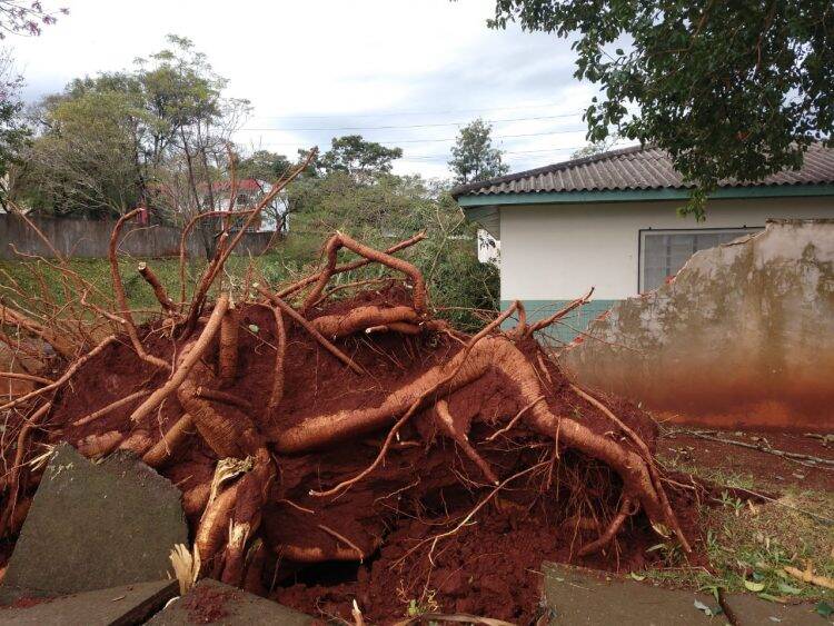 Temporal deixa 45% da cidade sem energia