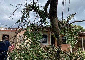 Temporal deixa 45% da cidade sem energia