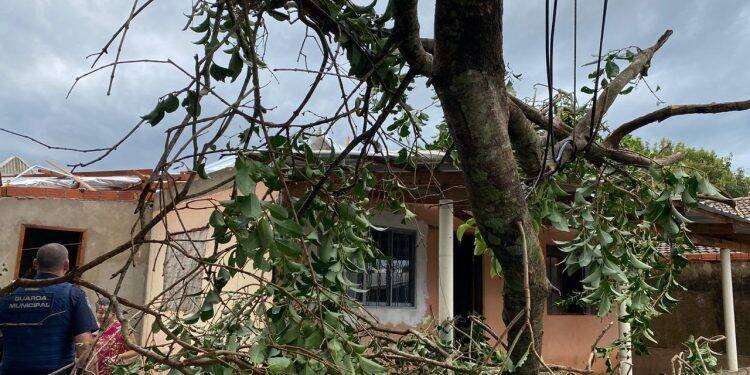 Temporal deixa 45% da cidade sem energia