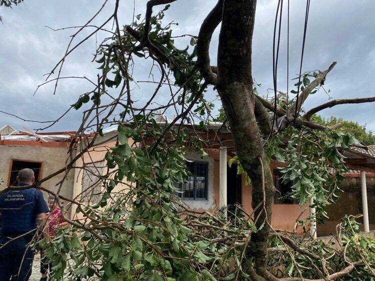 Temporal deixa 45% da cidade sem energia