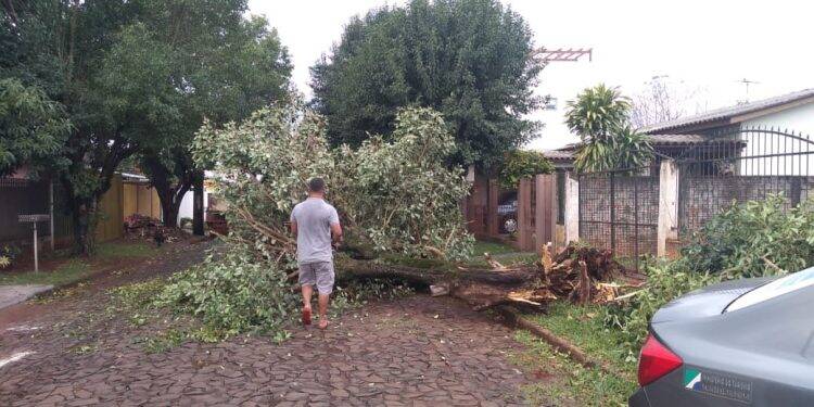 Temporal deixa 45% da cidade sem energia