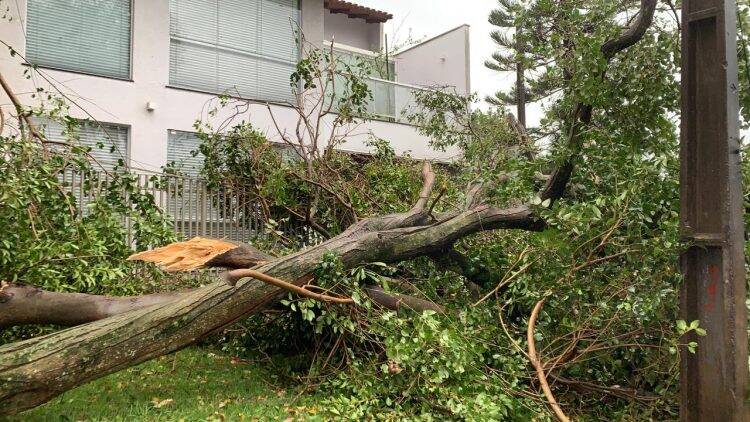 Temporal deixa 45% da cidade sem energia