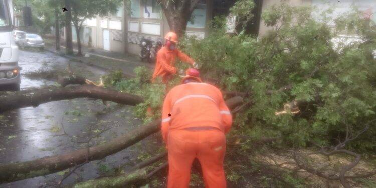 Temporal deixa 45% da cidade sem energia