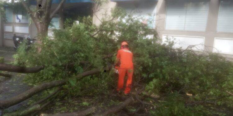 Temporal deixa 45% da cidade sem energia