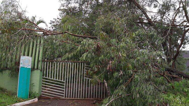 Temporal deixa 45% da cidade sem energia