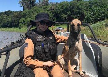 Cães farejadores dinamizam patrulhamento do BPFron