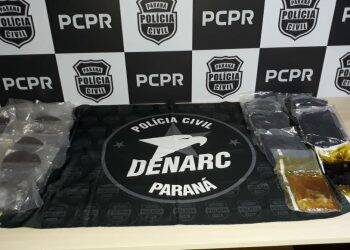 Polícia Civil faz grande apreensão de haxixe