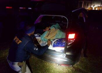 Após perseguição, PRF apreende quase 300 quilos de maconha em Santa Terezinha