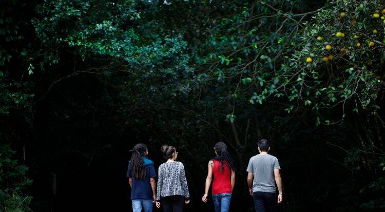 Refúgio Biológico de Itaipu retoma a visitação turística nesta quarta-feira (17)