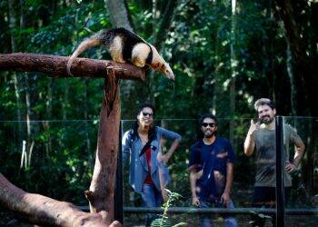 Refúgio Biológico de Itaipu retoma a visitação turística nesta quarta-feira (17)