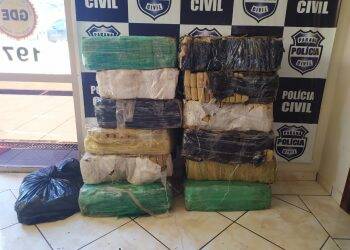 Polícia Civil apreende maconha as margens do Rio Paraná