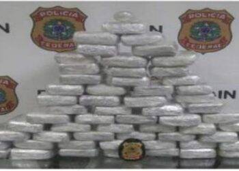 Tráfico: Polícia Federal deflagra Operação Fratis nesta segunda-feira, 22, em Foz