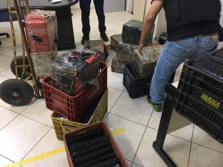 Polícia Civil apreende meia tonelada de maconha no Três Bandeiras