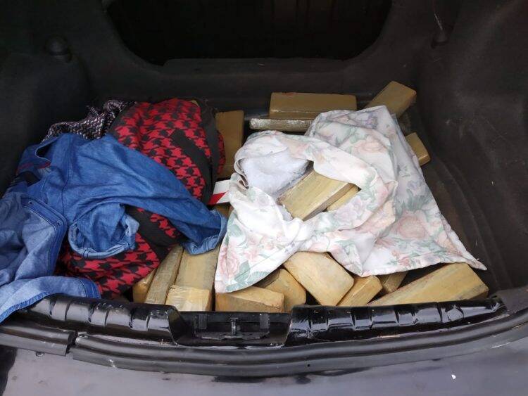 Polícia Civil apreende 551 quilos de maconha em Foz do Iguaçu