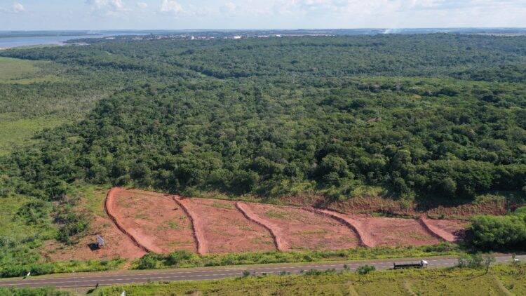 Itaipu inicia a restauração da última  área aberta do Refúgio Binacional Maracaju