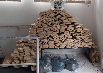 Polícia Civil apreende 551 quilos de maconha em Foz do Iguaçu