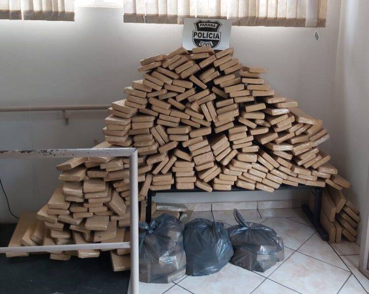 Polícia Civil apreende 551 quilos de maconha em Foz do Iguaçu