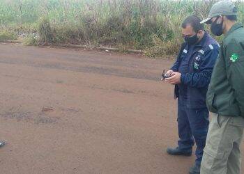 Dengue: Foz tem quase 20 mil casos confirmados e implanta drone para combate