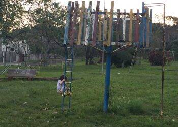 Pesquisas investigam questões ambientais em Foz do Iguaçu e na Argentina