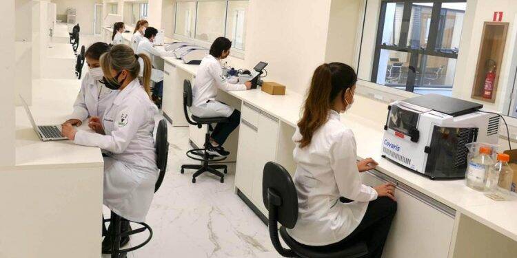 Pesquisadores paranaenses lideram estudo sobre a Covid-19